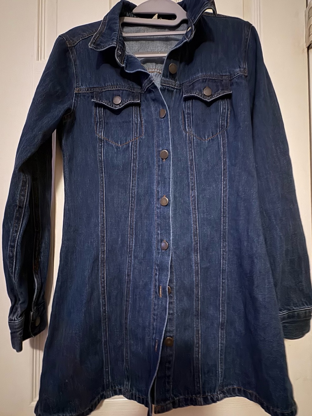 Life in progress denim dress